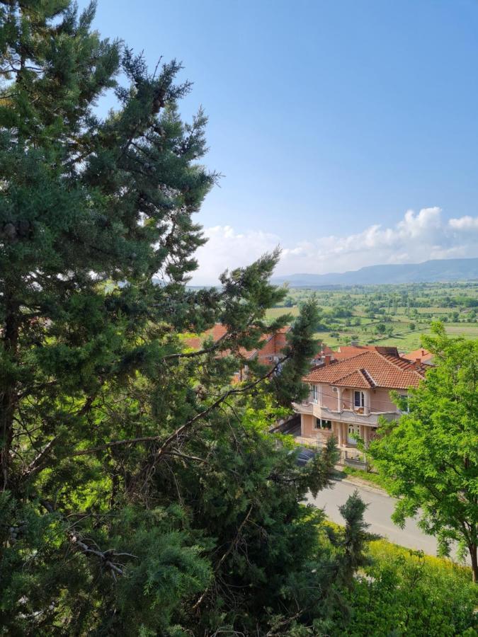 Bojana Apartment Negotin Dış mekan fotoğraf