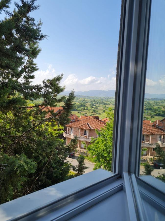 Bojana Apartment Negotin Dış mekan fotoğraf