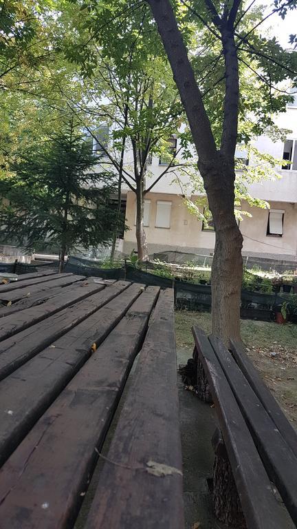 Bojana Apartment Negotin Dış mekan fotoğraf